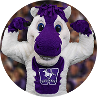 Mustang Mascot